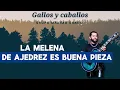 Grupo Máximo Grado, Gallos y Caballos (Lyric Video)