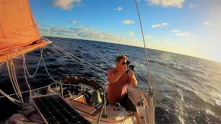 Transatlantic Return, Ep. 5: Signs and wonders of landfall