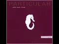 Download Lagu VA - Particular - Tortuga ...Ibiza Beach Lounge (2000) / Chillout, Trip-hop And Lounge (2002)
