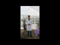 My Phoenix Therapy - Outdoors Massage Therapy