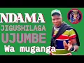 Download Lagu ndama jigushilaga ujumbe wa muganga 2025