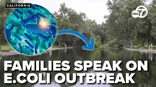 Families sue City of Chico over Sycamore pool E coli outbreak