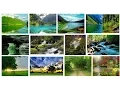 How to Download Bing Images Using PHP cURL