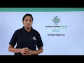 Perl - Inheritance