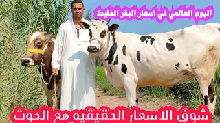 شوفوا ثقتكم في ابو يوسف عمل لكم اكبر مفاجاه في الاسعار النهارده مع الحوت 