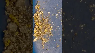 يمكنك تحميص الكوارتز لاستخراج الذهب  دندنها