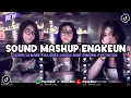 DJ MASHUP ENAKEUN V5 SOUND JJ MENGKANE COCOK BUAT DI MOBIL FULL BASS VIRAL TIKTOK TERBARU 2025 🎧