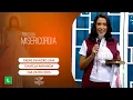 Lagu Terço da Misericórdia - 23/09/2024