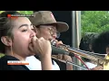 Download Lagu SCIMMIASKA | LEMBAYUNG | PELEPASAN SISWA KELAS XII SMK NEGERI 1 KANDEMAN