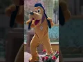 Download Lagu Our favorite dog in Main Street! 🐶🐕 #pluto #disneyparks