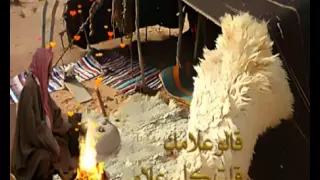 شيلة قالوا علامك قلت كلي علامي 
