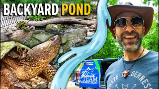 A Custom Backyard Pond For Nubbly The Snapper!