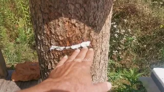 اسرع طريقة لايقاف السرقة في المنحل 