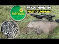 Download Lagu MIMIS SAMYANG COCOK BUAT BERBURU BABI HUTAN