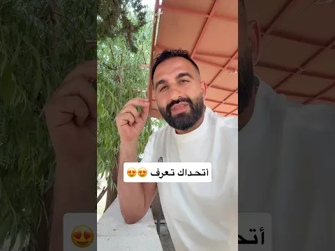 قطه نادره في مقهى القطط