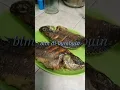 ikan mujaer mantap