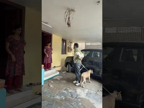 Amma na yaruku tha bayam ila😂 #canecorso  #sukithegenie