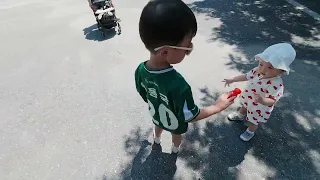                                                دندنها