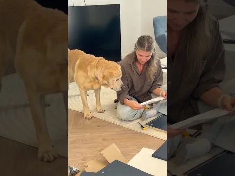 Как он делает?🙈