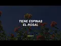 Grupo Cañaveral - Tiene Espinas el Rosal (letra)