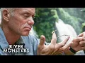 Best Moments and Catches in South America | River Monsters