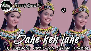 Download SOUND GAWAI - JAHE KEK JAHE (ALDO SAGALA ) BANDMIX X ORGEN TUNGGAL MP3