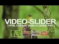 How To Create Slider Using CSS And Vanilla Javascript Web Design Tutorial