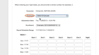 Creating a Timesheet Consumer