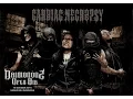 Download Lagu Cardiac Necropsy video teaser for D.O.A