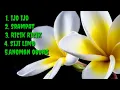 Download Lagu Kumpulan Gending Jawa Versi Bayer Club - Pajaresuk Pringsewu