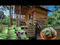 Download Lagu Petualangan di Kebun Hutan 🌲 Panen Jagung, Kue Tradisional \u0026 Menanam Keladi CTd-95