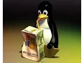 Hacking Windows Using Kali Linux