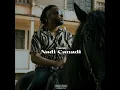 Nadi Canadi - Tagne