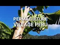 Download Lagu PERMACULTURE VILLAGE PERU - Living with Nature