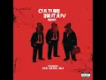 Culture Vulture (Remix)