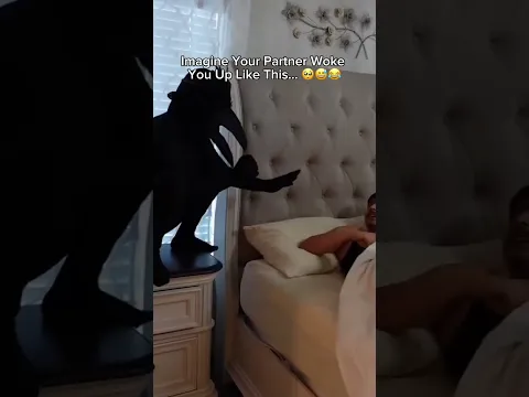 the funniest prank on the internet today 🤣