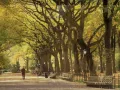 Lagu Autumn In New York - Sweet Jazz Trio