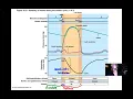 Ch 18 Part 3 Regulation of Cardiac Output and CHF