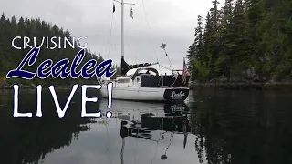 Cruising Lealea LIVE Stream today at 1200 AKST, Nov 6, 2022