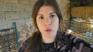 Nos quieren meter gato por liebre, menuda vista hay que tener