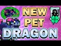 NEW Dragon PET Chest Skin Montage RotMG