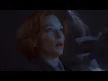Surf Rider By IL EST VILAINE [slowed + echo]