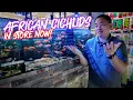 Our Malawi and Tanganyika Cichlid aquariums are FULLY STOCKED