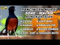 Download Lagu 🔴 LIVE 29 - Pancingan Murai Batu Pagi Hari Full Isian Tembakan Kasar Murai apapun langsung nyaut