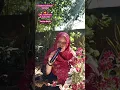 Download Lagu Cover Sekedar Bertanya (Lagu Dina Mariana) #shorts