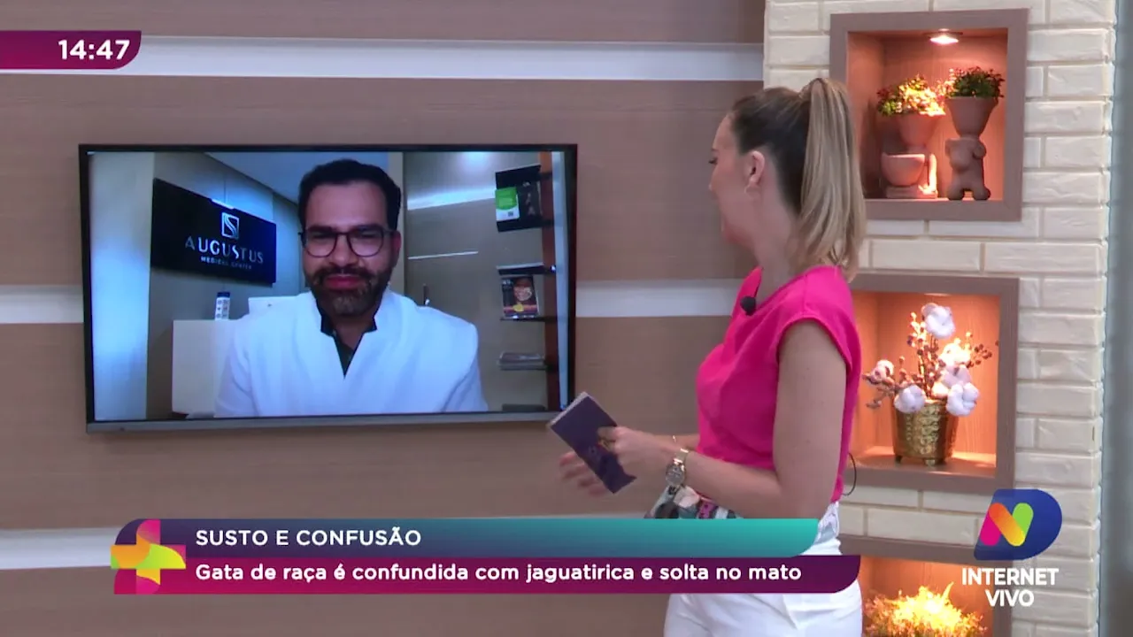 Susto e confusão: gato de raça é confundida com jaguatirica e é solta no meio do mato