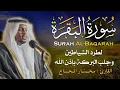 Download Lagu سورة البقرة كاملة - الشيخ مختار الحاج - تلاوة خاشعة