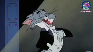 مهرجان اركب يا عبده علي قط وفار دندنها