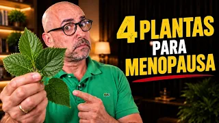 4 PLANTAS PARA ALIVIAR A MENOPAUSA