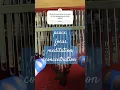 Download Lagu Kalimba cover - Relaxing Music